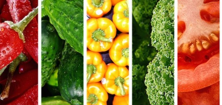 تولید انواع سبزیجات مغزی و تازه در تمامی فصول | مزرعه عمودی