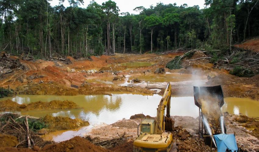 جنگل‌زدایی و تخریب منابع خاک برای بهره‌برداری از منابع | ونزوئلا