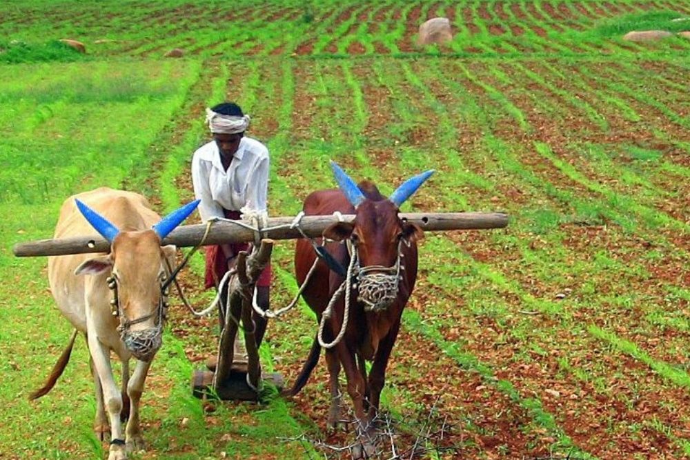 کشاورزی دشوار در هند و کشاورزی دقیق