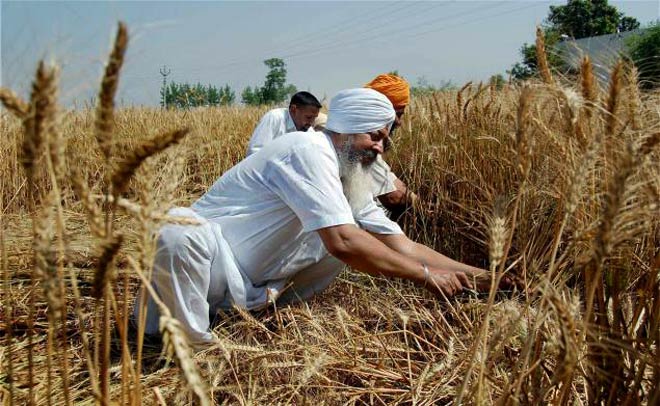 کشاورزان پنجاب و مالیات