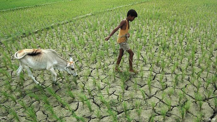 خشکسالی هندوستان