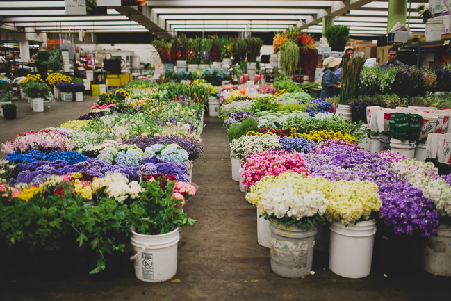 Flower-Market