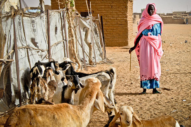 آب مجازی در موریتانی