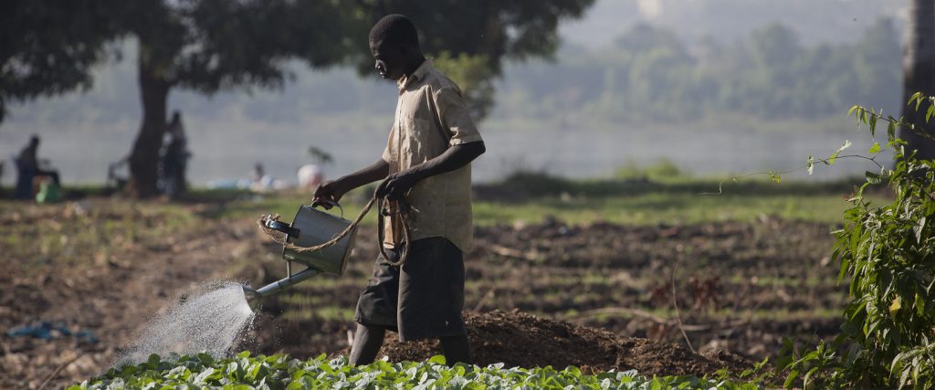 کشاورزی برای تامین غذلی مردم جهان
