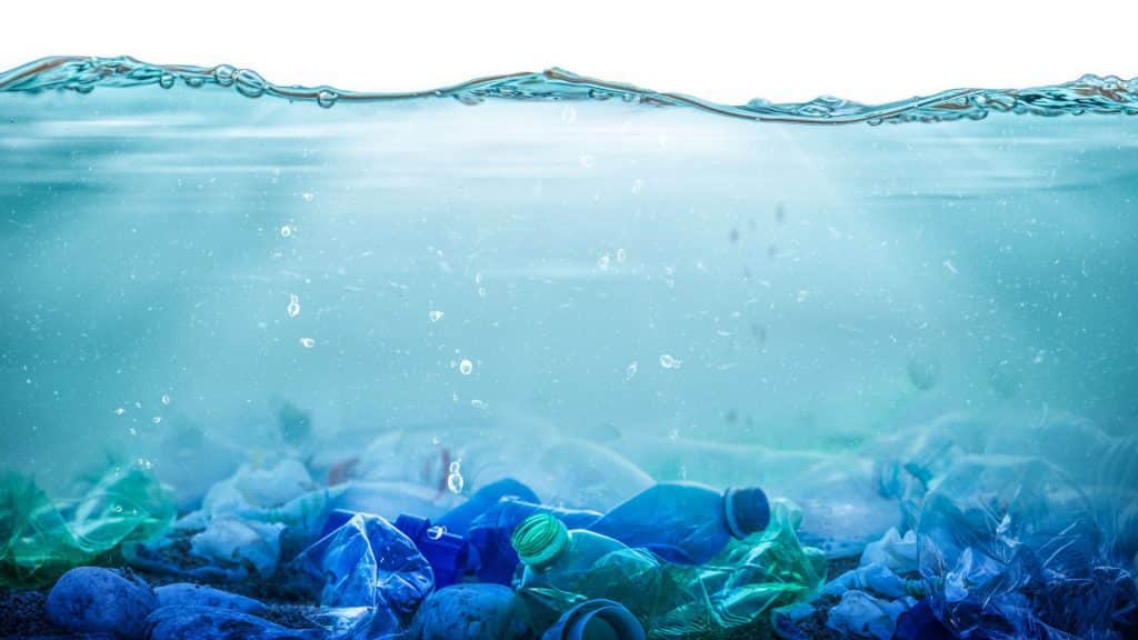 اگر اکنون اقدام نکنیم، تا سال 2050 ممکن است تعداد پلاستیک‌ها بیشتر از ماهی در اقیانوس‌ها باشد.