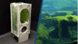 computer powered byalgae