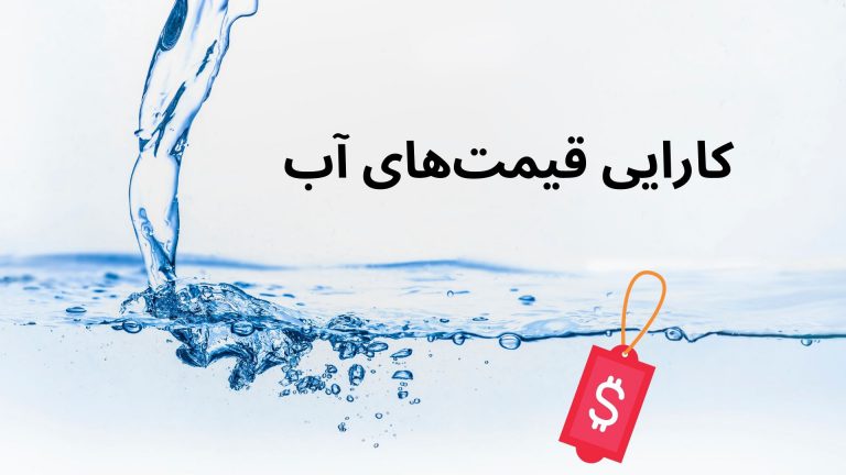water price efficiency