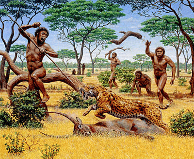 انسان های اولیه و شکار حیوانات
